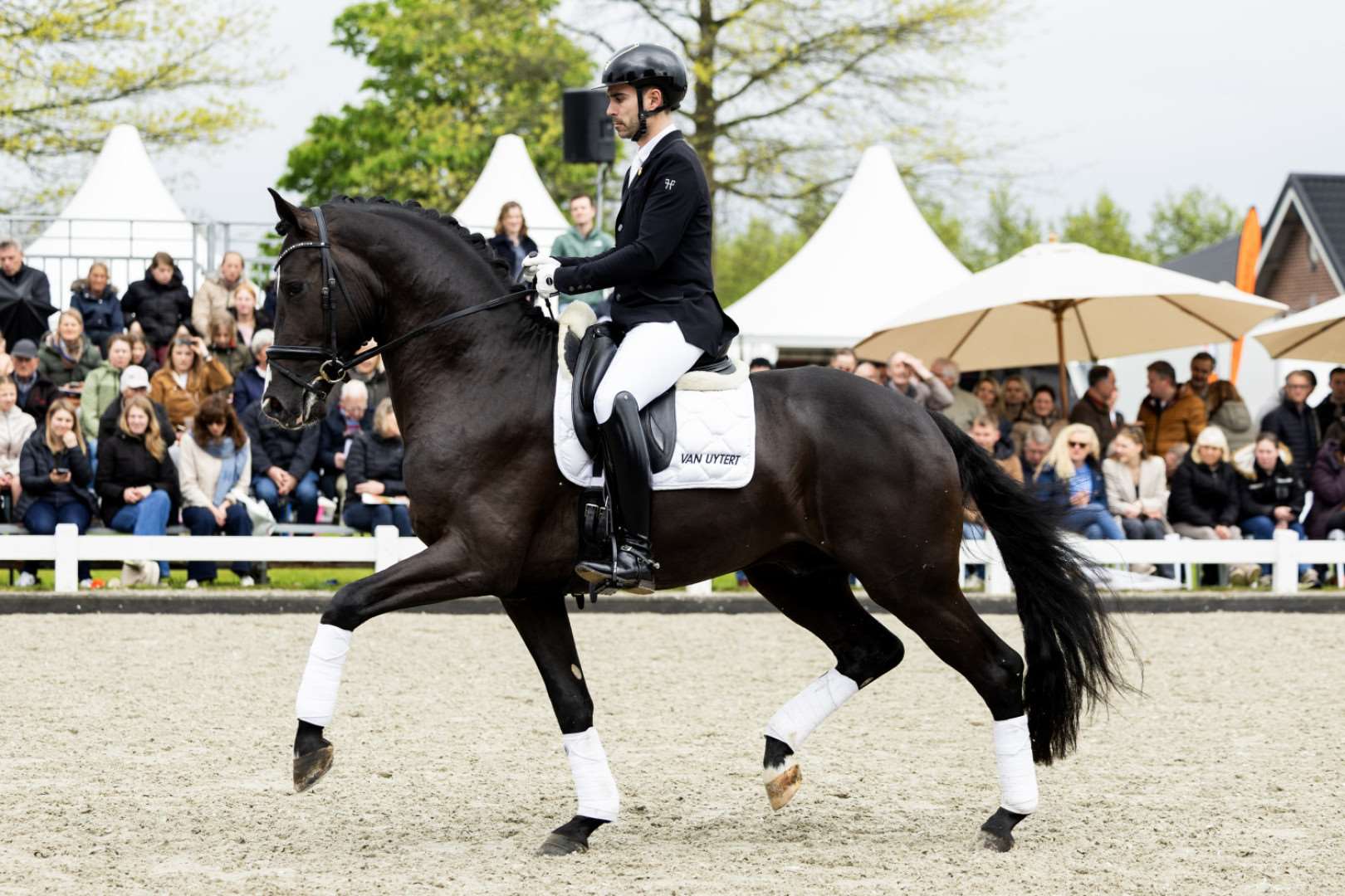 Top Gun SQBS Stallion